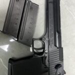また銃が増えてしまった。